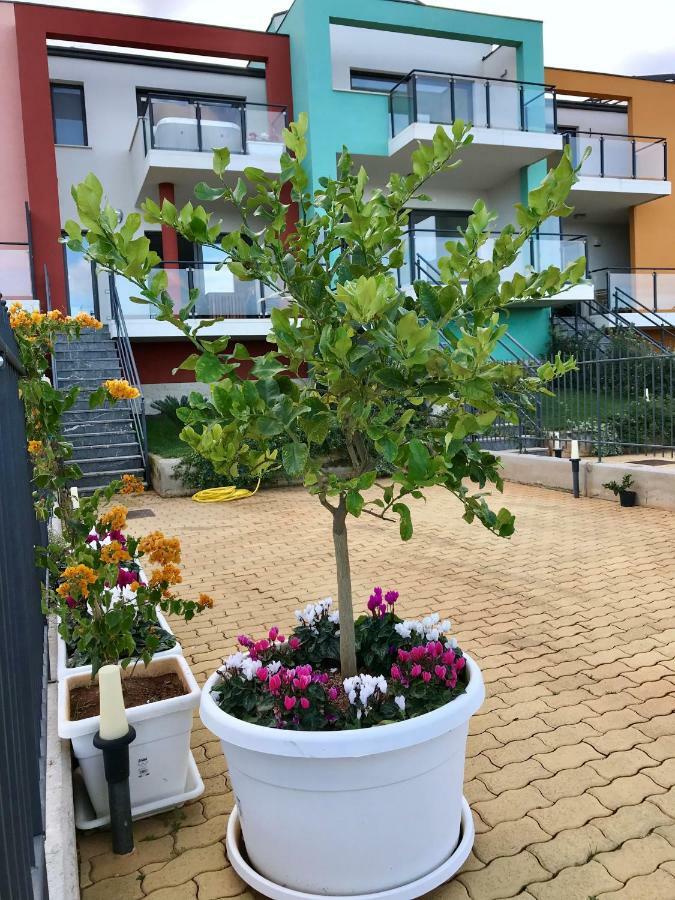 Red Luxury In Borgo Guardiola Near Cefalu Mandra Capreria المظهر الخارجي الصورة